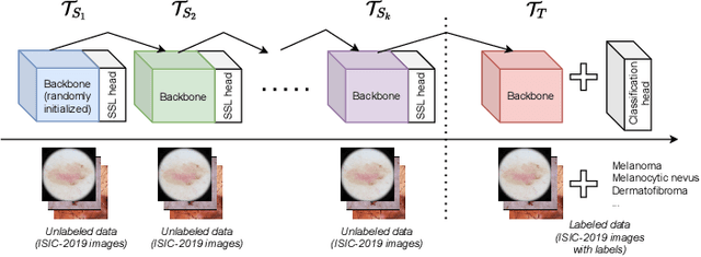 Figure 2 for Improved skin lesion recognition by a Self-Supervised Curricular Deep Learning approach