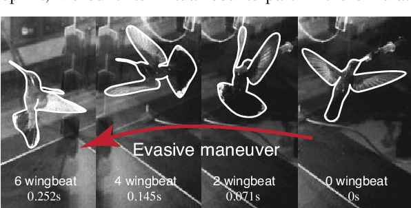 Figure 3 for Flappy Hummingbird: An Open Source Dynamic Simulation of Flapping Wing Robots and Animals