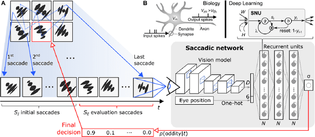 Figure 3 for On the visual analytic intelligence of neural networks