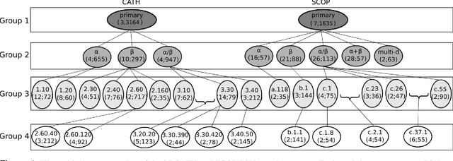 Figure 1 for Network-based protein structural classification