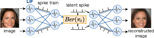 Figure 1 for Fully Spiking Variational Autoencoder