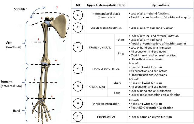 Figure 4 for A Comprehensive Review of Myoelectric Prosthesis Control