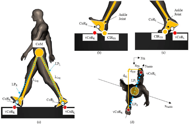Figure 2 for The Strange Attractor of Bipedal Locomotion and Consequences on Motor Control