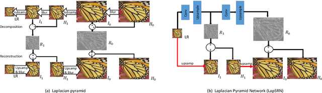 Figure 1 for ASDN: A Deep Convolutional Network for Arbitrary Scale Image Super-Resolution