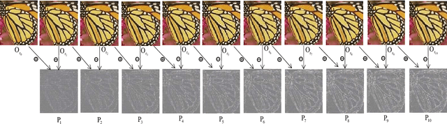 Figure 3 for ASDN: A Deep Convolutional Network for Arbitrary Scale Image Super-Resolution