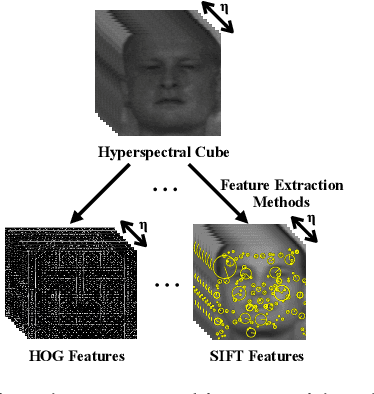 Figure 1 for Image-level Classification in Hyperspectral Images using Feature Descriptors, with Application to Face Recognition