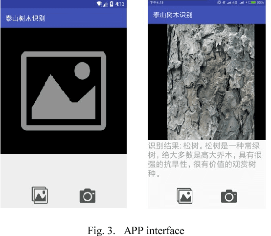 Figure 2 for Tree Recognition APP of Mount Tai Based on CNN