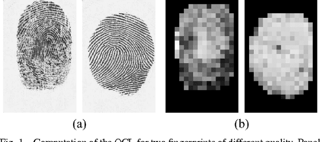 Figure 1 for A Comparative Study of Fingerprint Image-Quality Estimation Methods