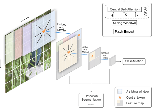 Figure 1 for SimViT: Exploring a Simple Vision Transformer with sliding windows