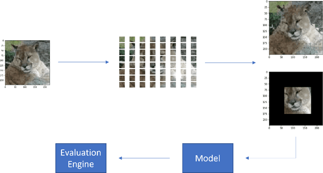 Figure 1 for Vision Checklist: Towards Testable Error Analysis of Image Models to Help System Designers Interrogate Model Capabilities