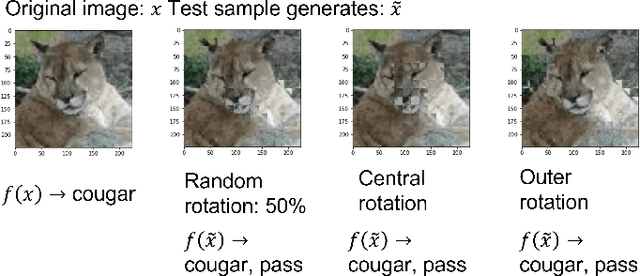 Figure 3 for Vision Checklist: Towards Testable Error Analysis of Image Models to Help System Designers Interrogate Model Capabilities