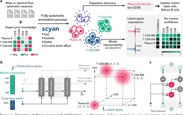 Figure 1 for Interpretable cytometry cell-type annotation with flow-based deep generative models
