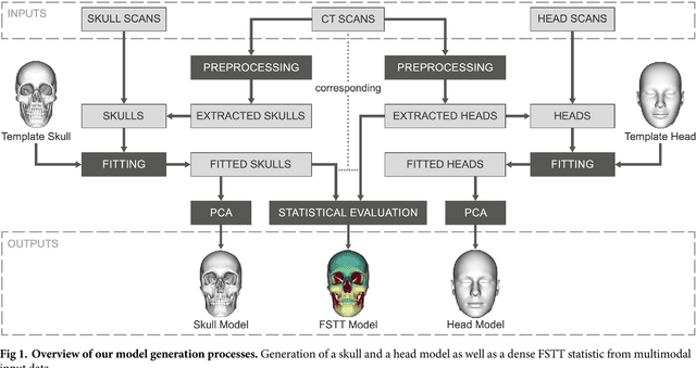 Figure 1 for A method for automatic forensic facial reconstruction based on dense statistics of soft tissue thickness