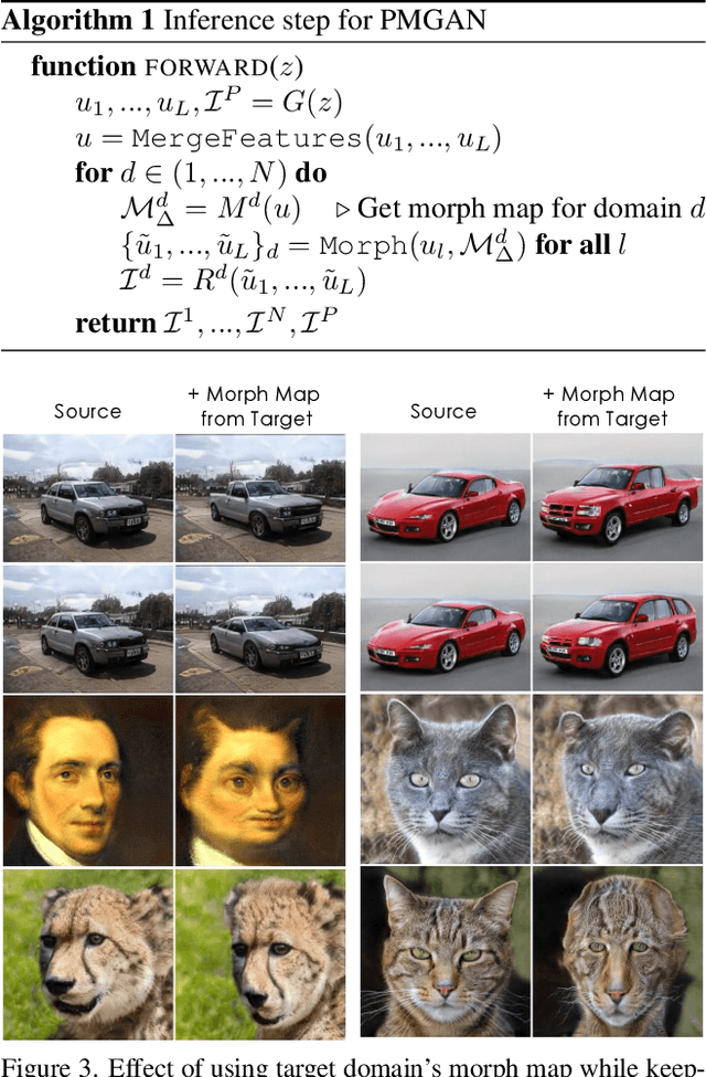 Figure 3 for Polymorphic-GAN: Generating Aligned Samples across Multiple Domains with Learned Morph Maps