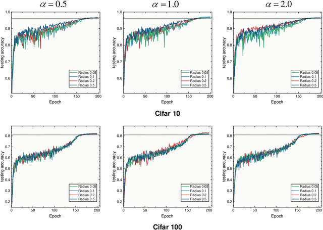 Figure 2 for Neighborhood Region Smoothing Regularization for Finding Flat Minima In Deep Neural Networks