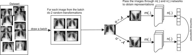 Figure 1 for Self-supervised deep convolutional neural network for chest X-ray classification