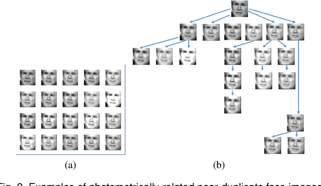 Figure 3 for Face Phylogeny Tree Using Basis Functions