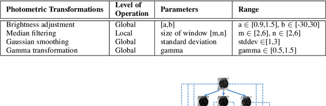 Figure 4 for Face Phylogeny Tree Using Basis Functions