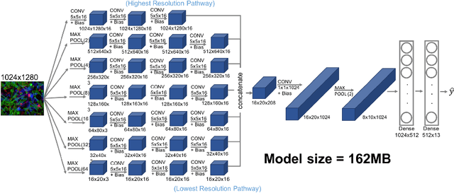 Figure 1 for Training Multiscale-CNN for Large Microscopy Image Classification in One Hour