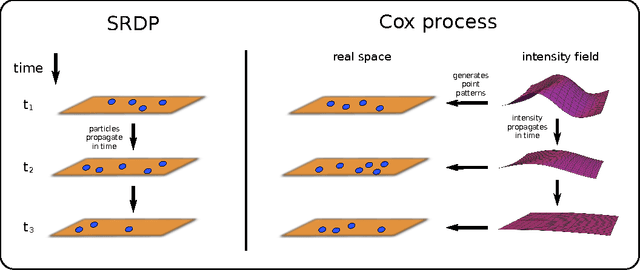 Figure 1 for Cox process representation and inference for stochastic reaction-diffusion processes
