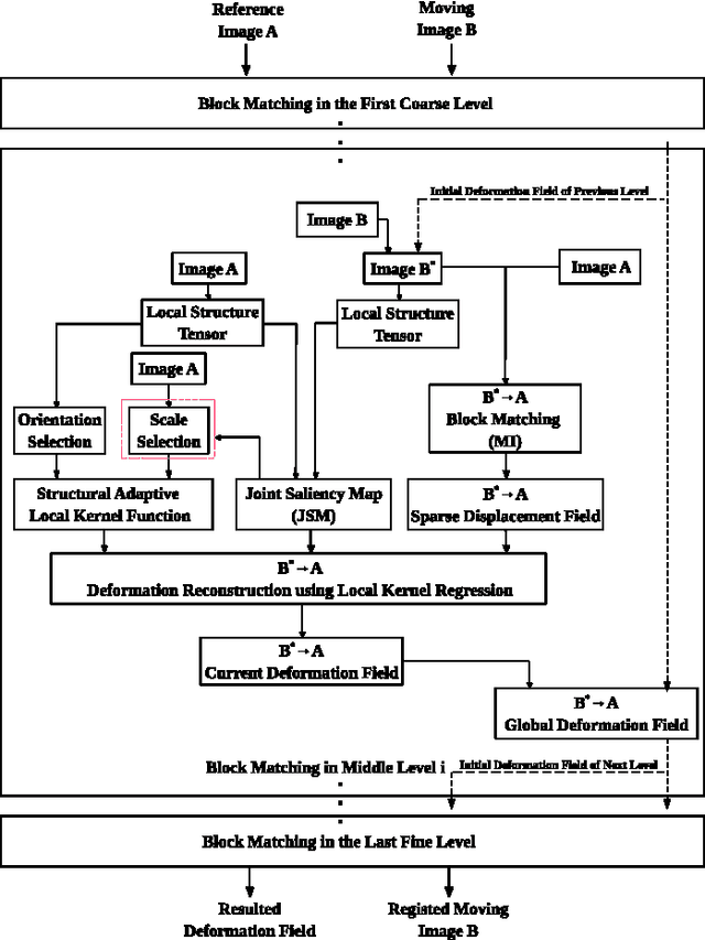 Figure 1 for Scale Selection of Adaptive Kernel Regression by Joint Saliency Map for Nonrigid Image Registration