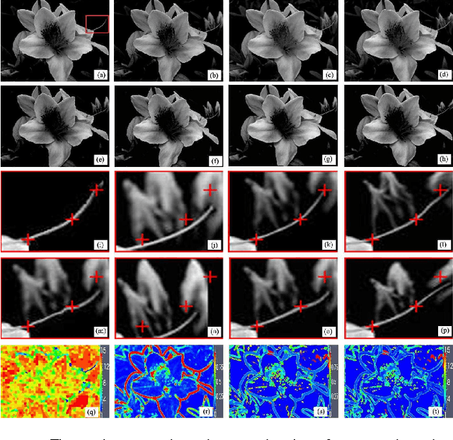 Figure 4 for Scale Selection of Adaptive Kernel Regression by Joint Saliency Map for Nonrigid Image Registration