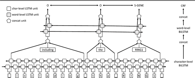 Figure 2 for Cross-type Biomedical Named Entity Recognition with Deep Multi-Task Learning