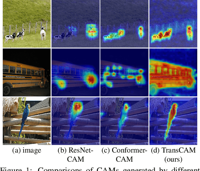 Figure 1 for TransCAM: Transformer Attention-based CAM Refinement for Weakly Supervised Semantic Segmentation