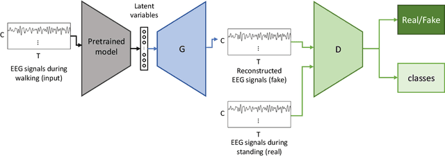 Figure 2 for Reconstructing ERP Signals Using Generative Adversarial Networks for Mobile Brain-Machine Interface