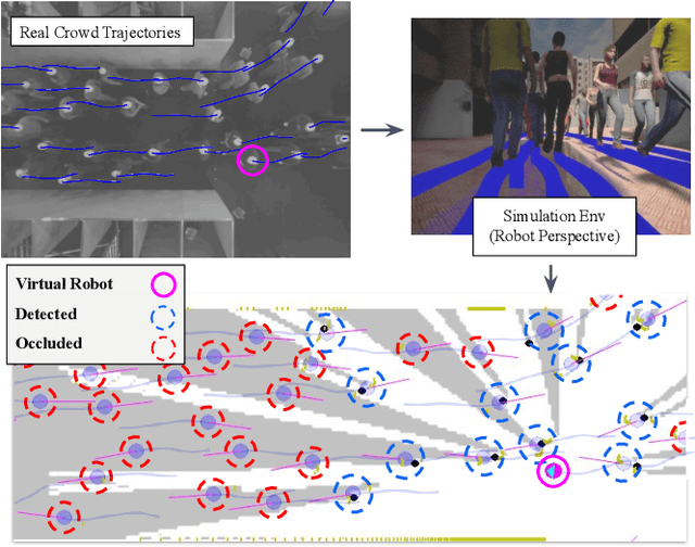 Figure 1 for What we see and What we don't see: Imputing Occluded Crowd Structures from Robot Sensing