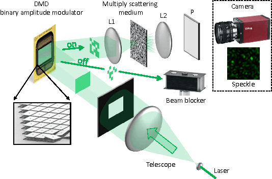 Figure 1 for Intensity-only optical compressive imaging using a multiply scattering material and a double phase retrieval approach