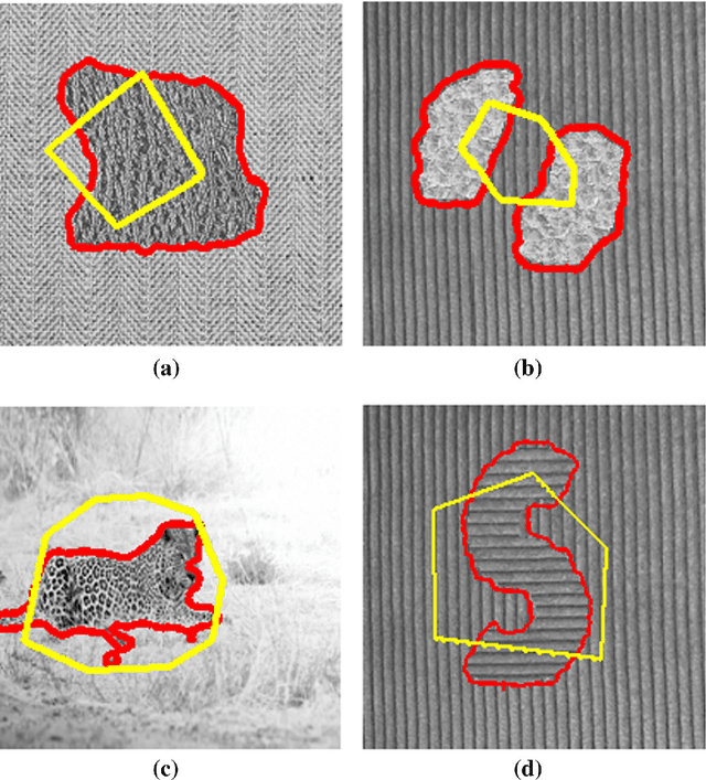 Figure 4 for Active Contour Models for Manifold Valued Image Segmentation