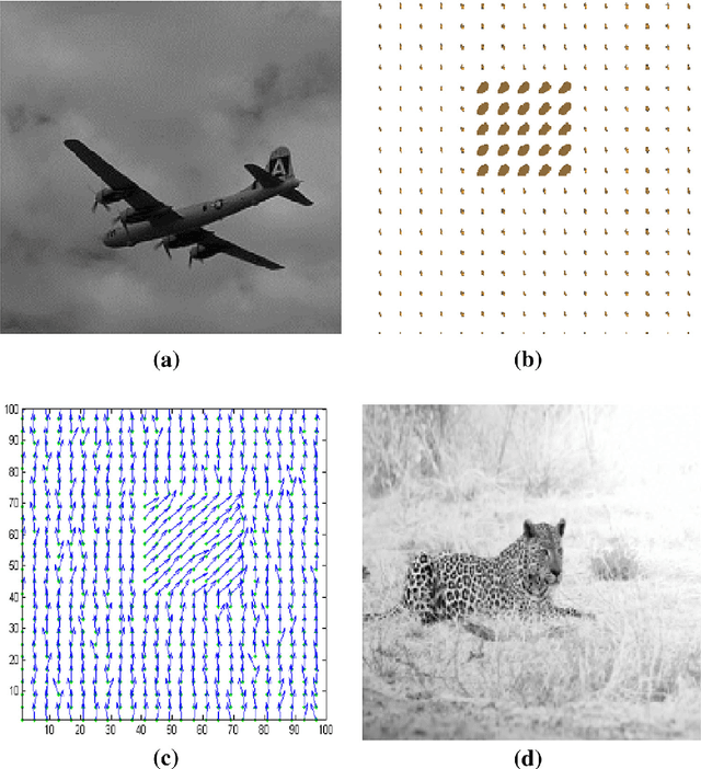 Figure 1 for Active Contour Models for Manifold Valued Image Segmentation