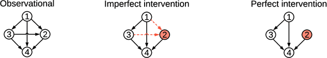 Figure 1 for Differentiable Causal Discovery from Interventional Data