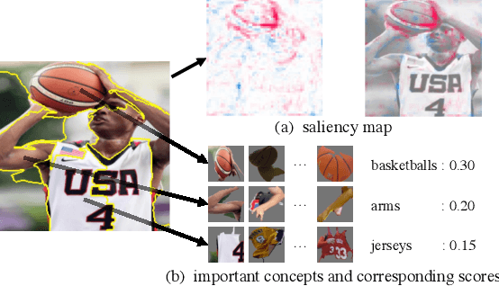 Figure 1 for Instance-wise or Class-wise? A Tale of Neighbor Shapley for Concept-based Explanation