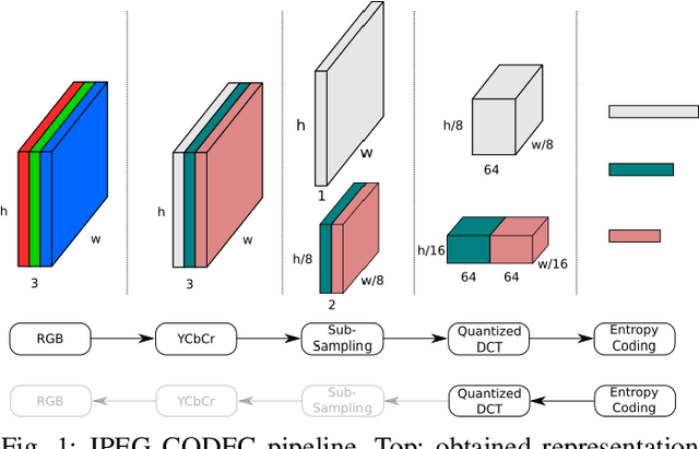 Figure 1 for Object Detection in the DCT Domain: is Luminance the Solution?