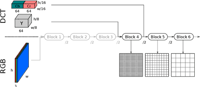 Figure 2 for Object Detection in the DCT Domain: is Luminance the Solution?