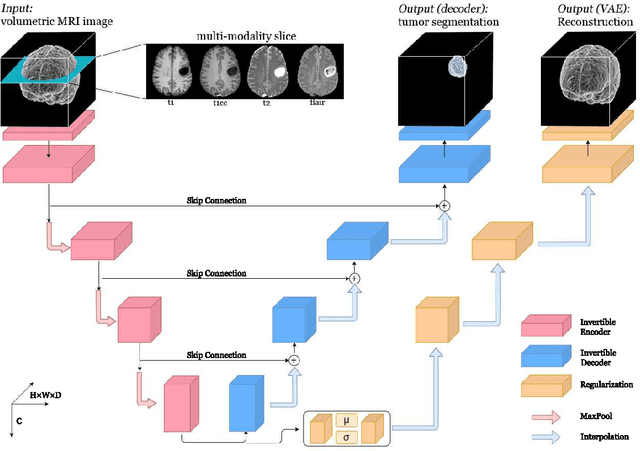 Figure 3 for Invertible Residual Network with Regularization for Effective Medical Image Segmentation