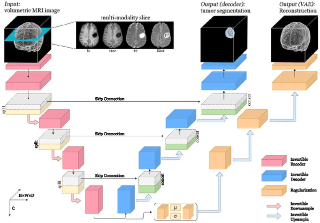 Figure 4 for Invertible Residual Network with Regularization for Effective Medical Image Segmentation