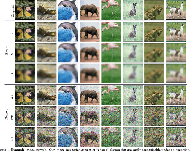 Figure 1 for Can the early human visual system compete with Deep Neural Networks?