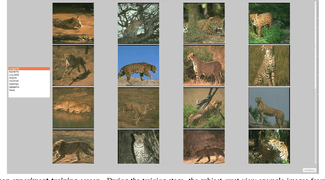 Figure 3 for Can the early human visual system compete with Deep Neural Networks?