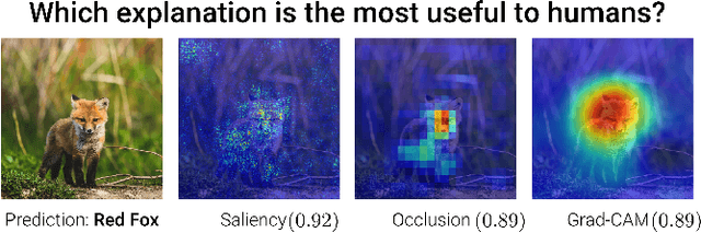 Figure 1 for What I Cannot Predict, I Do Not Understand: A Human-Centered Evaluation Framework for Explainability Methods