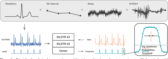 Figure 1 for Training neural networks with synthetic electrocardiograms