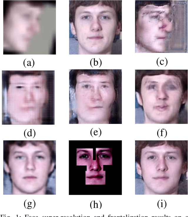 Figure 1 for Face Hallucination with Finishing Touches