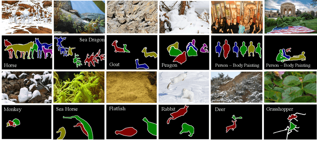 Figure 1 for Camouflaged Instance Segmentation: Dataset and Benchmark Suite