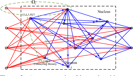 Figure 3 for Nucleus Neural Network: A Data-driven Self-organized Architecture