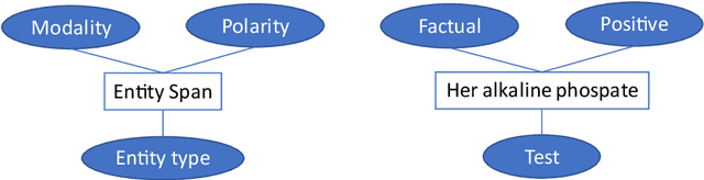 Figure 1 for NEAR: Named Entity and Attribute Recognition of clinical concepts