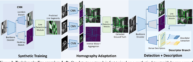 Figure 3 for SOLD2: Self-supervised Occlusion-aware Line Description and Detection
