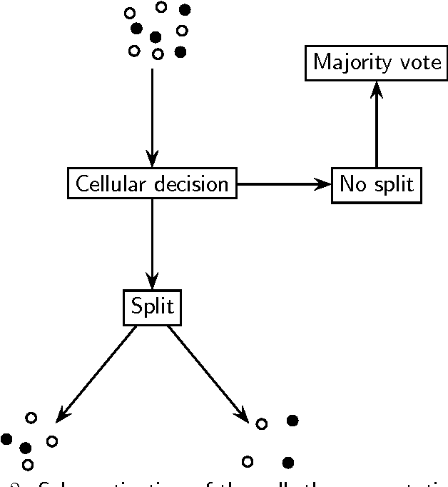 Figure 2 for Cellular Tree Classifiers