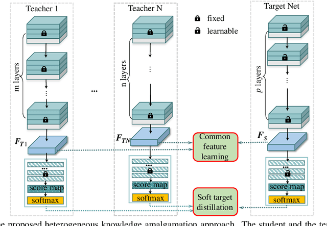 Figure 1 for Knowledge Amalgamation from Heterogeneous Networks by Common Feature Learning